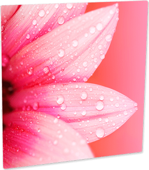 ChromaLuxe 8 x 10 Gloss Sublimation Aluminum Photo Panel